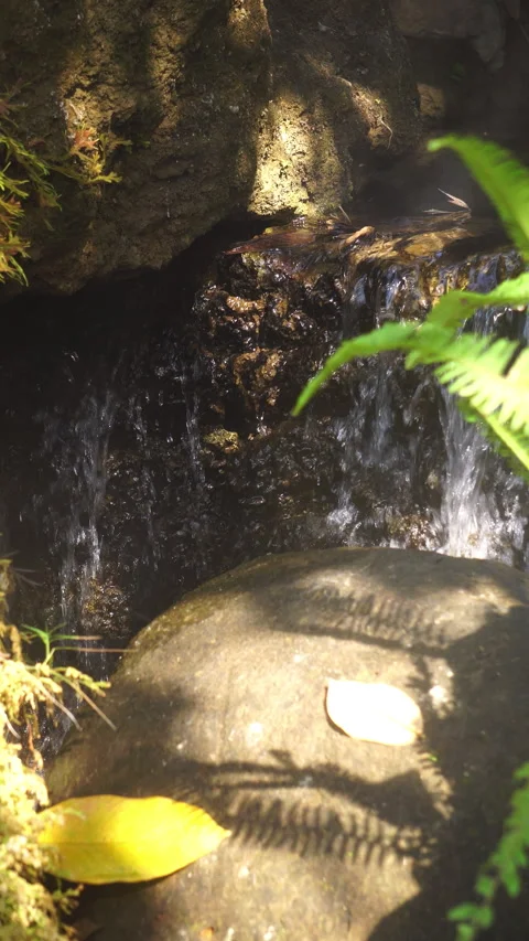 Crystal clear stream flowing over moss-covered rocks in a lush, peaceful forest. Stock-Footage 328645592