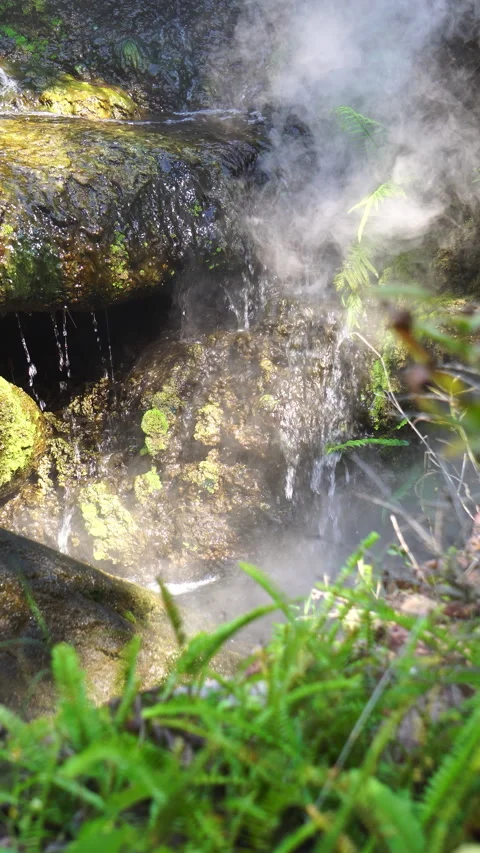 Crystal clear stream flowing over moss-covered rocks in a lush, peaceful forest. Vídeo Stock 328645593