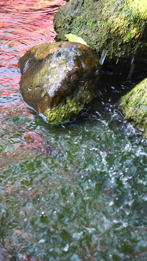 Crystal clear stream flowing over moss-covered rocks in a lush, peaceful forest. 스톡 동영상 328645594