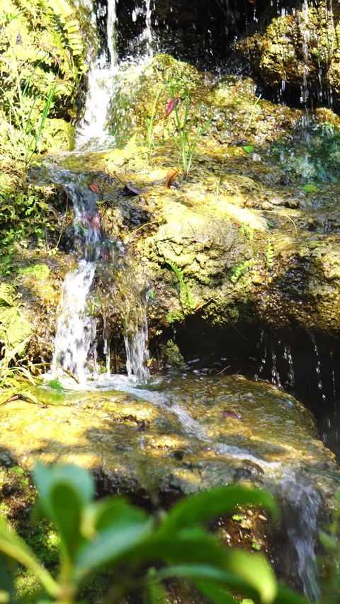 Crystal clear stream flowing over moss-covered rocks in a lush, peaceful forest. Vídeo Stock 328645620