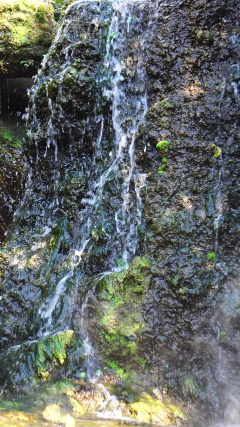 Crystal clear stream flowing over moss-covered rocks in a lush, peaceful forest. Vídeo Stock 328646095
