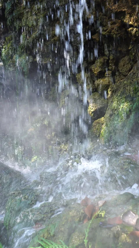 Crystal clear stream flowing over moss-covered rocks in a lush, peaceful forest. 스톡 동영상 328646215