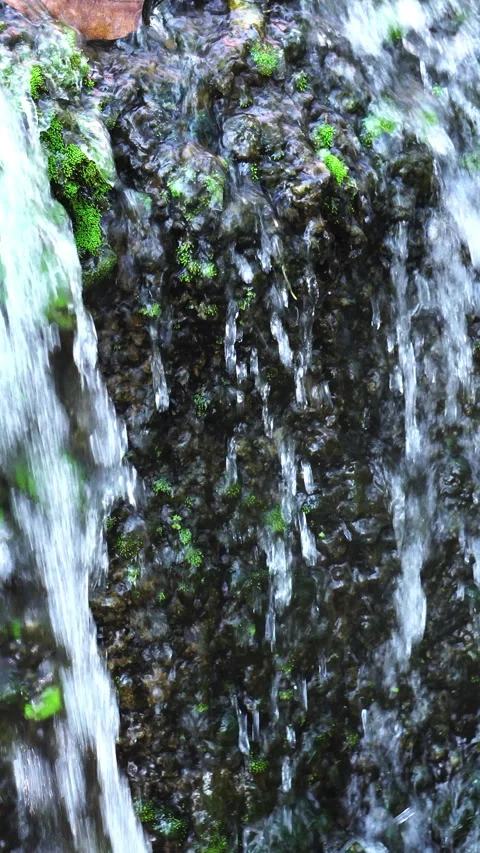 Crystal clear stream flowing over moss-covered rocks in a lush, peaceful forest. Vídeo Stock 328646924