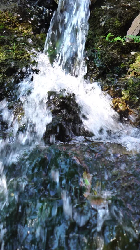 Crystal clear stream flowing over moss-covered rocks in a lush, peaceful forest. Vídeo Stock 328647023