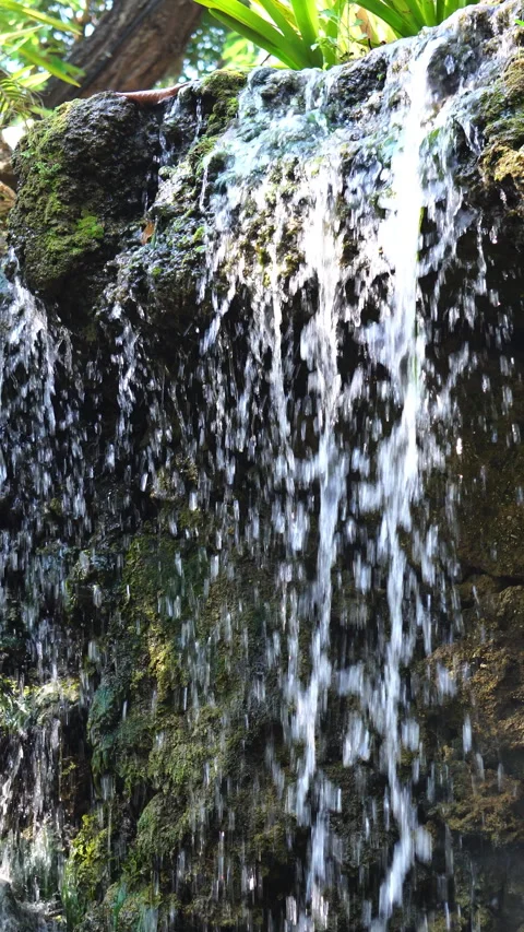 Crystal clear stream flowing over moss-covered rocks in a lush, peaceful forest. 스톡 동영상 328647120