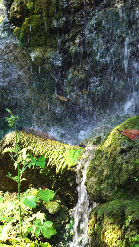Crystal clear stream flowing over moss-covered rocks in a lush, peaceful forest. Stock-Footage 328647126