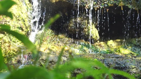 Crystal clear stream flowing over moss-covered rocks in a lush, peaceful forest. 스톡 동영상 328647157