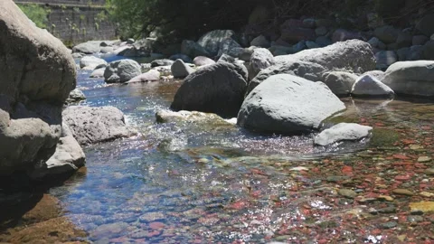 Crystal clear stream flowing over red and grey riverbed rocks Stock Footage 329021533
