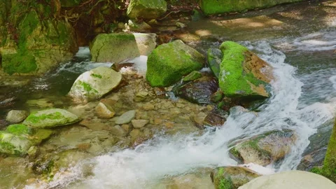 Crystal clear stream flowing through mossy rocks in a lush green forest Stock Footage 332865902