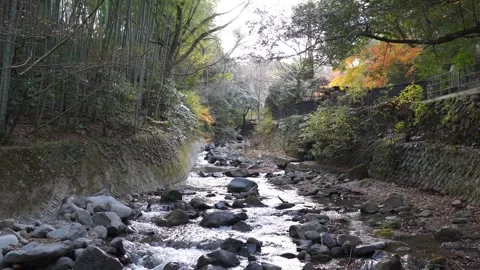 Crystal Clear Stream Flowing in Winter Japan Stock-Footage 296325976