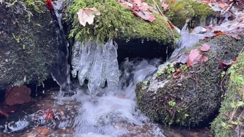Crystal-clear stream flows beneath icicles and mossy rocks Stock Footage 321479776