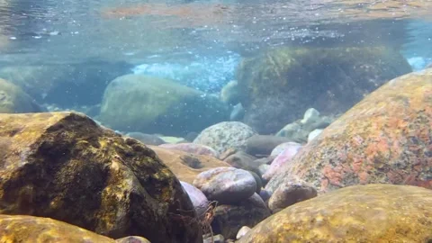 Crystal clear stream flows through riverbed rocks with bubbles under water. Stock Footage 333822605