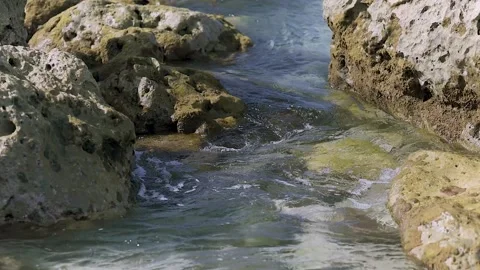 Crystal Clear Stream Gently Flowing Over Stones. Slow motion close-up of cl.. Stock Footage 307701049
