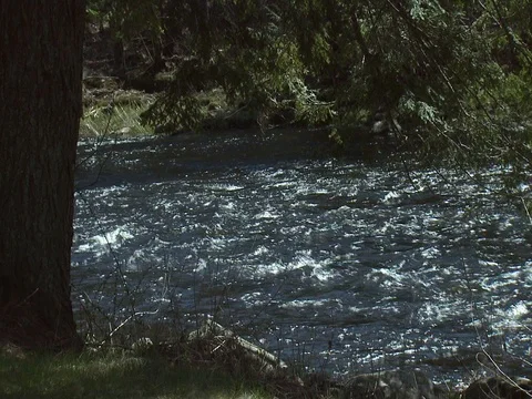 CRYSTAL CLEAR STREAM IN MAINE 4 Stock Footage 76584846
