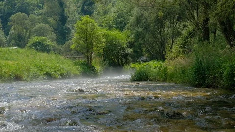 Crystal clear stream in misty summer morning Stock Footage 129263639