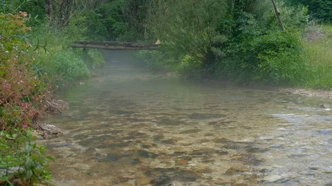 Crystal clear stream in misty summer morning with small wooden bridge Stock-Footage 129266451