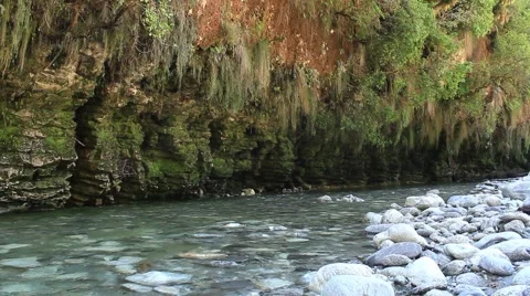 Crystal clear stream next to rock cliff Stock Footage 50482161
