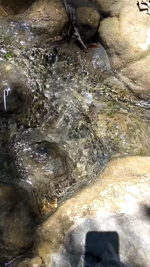 Crystal Clear Stream over Rocky Bed Video stock 340017065