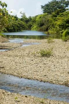 Crystal-clear stream Stock Photos