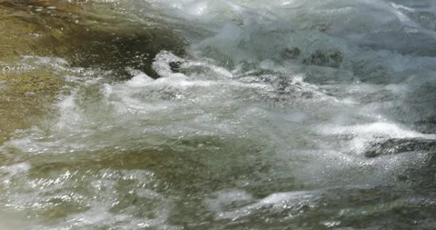 Crystal clear stream with relaxing water movement in nature in slow motion Vídeos de archivo 335731412