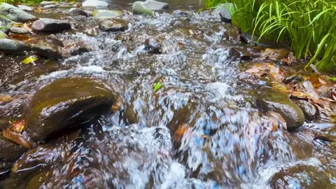 Crystal Clear Stream in Remote Mountains of Japan Stock Footage 336668280
