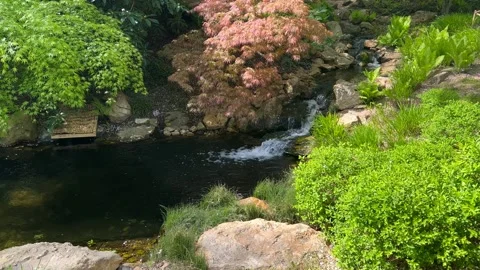 Crystal clear stream surrounded by magically beautiful nature. Stock Footage 240426195