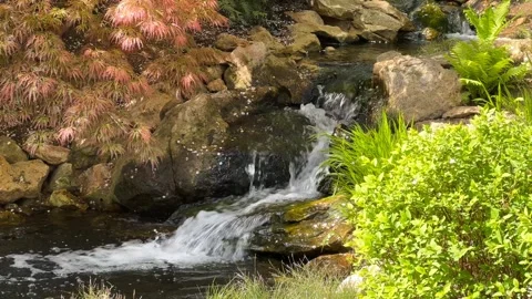 Crystal clear stream surrounded by magically beautiful nature. Stock Footage 240426254