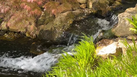 Crystal clear stream surrounded by magically beautiful nature. Stock Footage 240426362