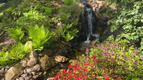 Crystal clear stream surrounded by magically beautiful nature. Stock Footage 240426776
