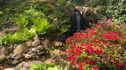 Crystal clear stream surrounded by magically beautiful nature. Stock Footage 240426854