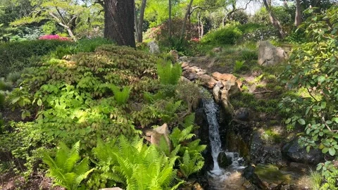 Crystal clear stream surrounded by magically beautiful nature. Stock Footage 240426960