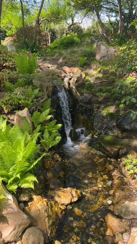 Crystal clear stream surrounded by magically beautiful nature. Stock Footage 240426967