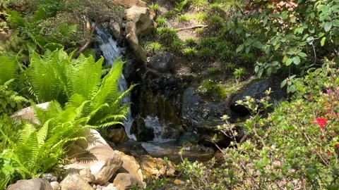 Crystal clear stream surrounded by magically beautiful nature. Stock Footage 240426972