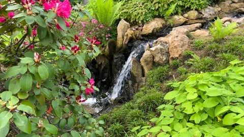 Crystal clear stream surrounded by magically beautiful nature. Stock Footage 240936904