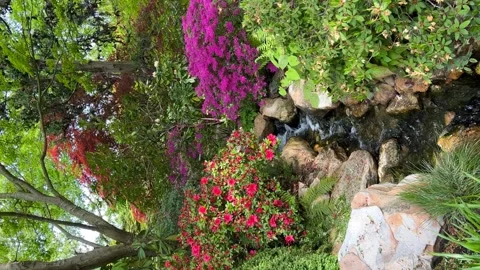 Crystal clear stream surrounded by magically beautiful nature. Stock Footage 240936934