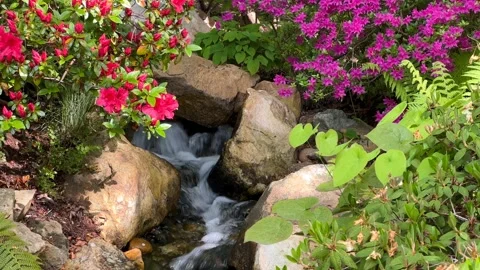 Crystal clear stream surrounded by magically beautiful nature. Stock Footage 240937019
