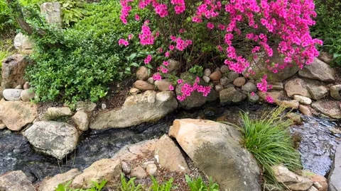 Crystal clear stream surrounded by magically beautiful nature. Stock Footage 240937053