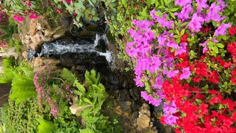 Crystal clear stream surrounded by magically beautiful nature. Stock Footage 240937253