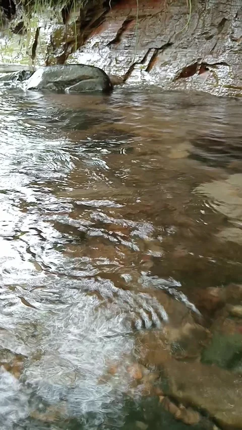 Crystal Clear Stream Water Flowing Through Rocks in Forest Stock Footage 329759298