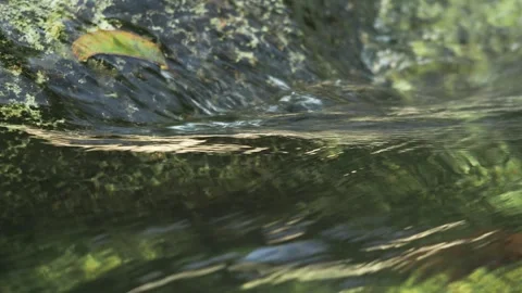 Crystal Clear Stream Water Flowing Over Rock Vidéo 335669967