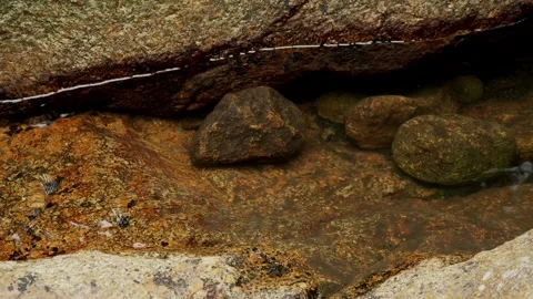 Crystal Clear Tropical Stream Flowing Through Rocky Creek 库存影片 340440646