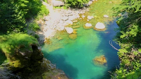 Crystal Clear Turquoise Mountain River in Summer Forest Stock Footage 335266521