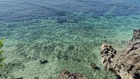 Crystal Clear Turquoise Ocean Water with Coral Reefs at Geger Beach Bali Stock Footage 335079258