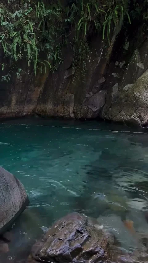 Crystal Clear Turquoise Pool in Rocky Jungle Gorge Stock Footage 341320466