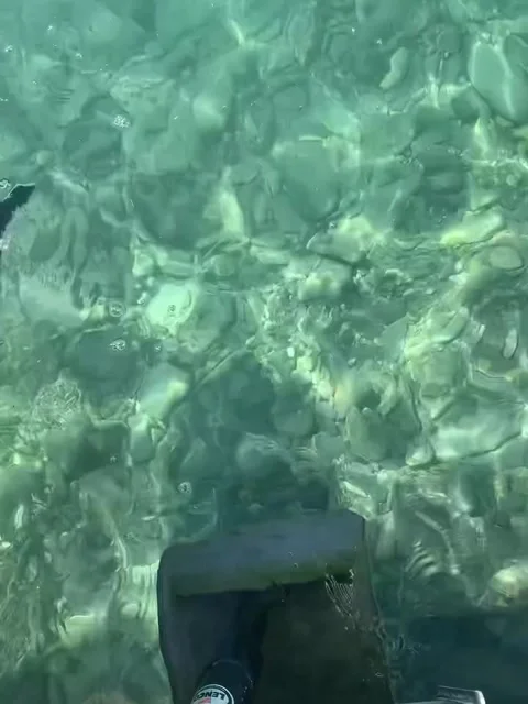 Crystal Clear Turquoise Water Over Pebbles Video stock 341317896