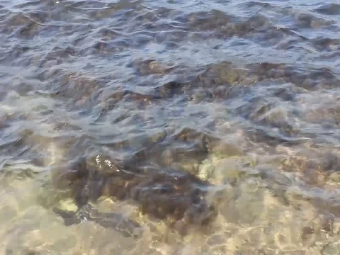 The crystal clear water of the black sea. Stock Footage