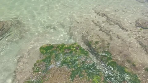 Crystal clear water in Buzios' Azedinha Beach in Rio de Janeiro State, Brazil Stock Footage 327876653