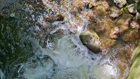 Crystal Clear Water Cascading Over Mossy Rocks in a Peaceful Forest Stream Stock Footage 345199232