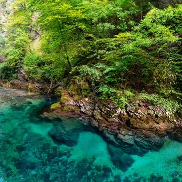 Crystal clear water circulating between the rocks in the Vintgar Gorge, Slovenia Stock Photos