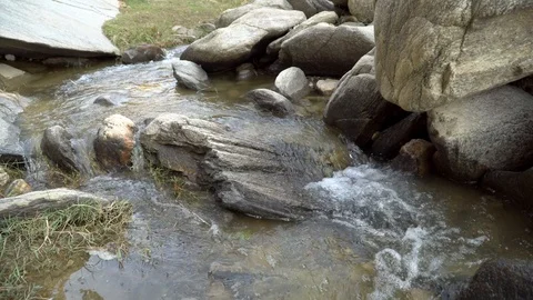 Crystal clear water flowing between old stones, natural valley in spring. Stock Footage 99869005
